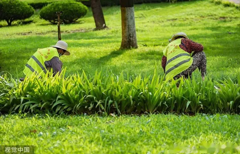 花道园林景观设计方案