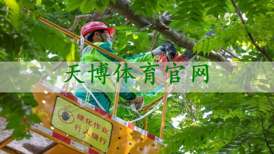 汉川市政绿化公司属于什么行业