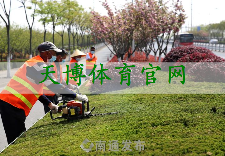 当阳市政绿化种植土单价