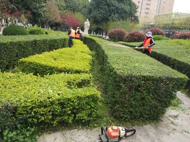 天津市武清区华荣园林绿化工程队